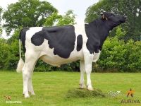 INARK - Prim'Holstein